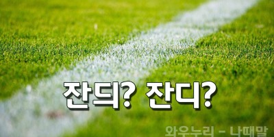 잔디 잔듸 올바른 표현 잔디 영어로