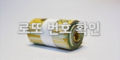 이번주 로또 번호 동행복권 번호 확인하기