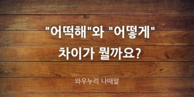 어떡해와 어떻게 어느 것이 맞습니까?