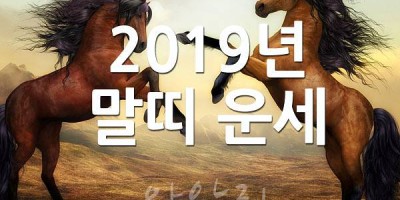 2019년 말띠 운세
