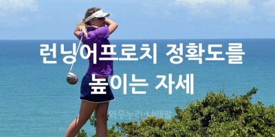 골프 스윙의 빅피쳐 골프 스윙의 이해