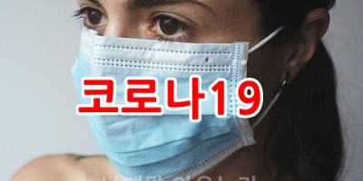 ​마포구청, 코로나19 확진자 동선 공개