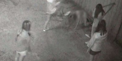 부산 피투성이 여중생 폭행 가해자 4명으로 늘었다