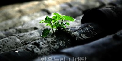 이런 사람이 좋더라 - 와우누리 나때말