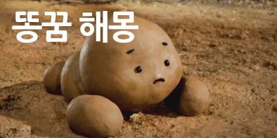 똥꿈 해몽 똥 꿈 해몽 대변 꿈 똥물 꿈 산더미 똥 해몽