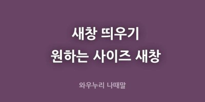 일정시간 지나면 자동으로 새창띄우고 자동으로 닫힌다