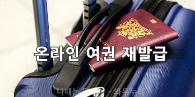 온라인 여권 재발급 받기