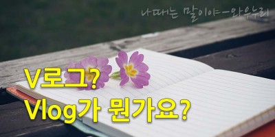 브이로그(VLOG)가 뭐죠? Vlog 뜻