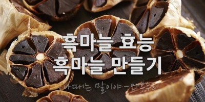 흑마늘 만들기 흑마늘을 먹어라! 정력과 강장제의 상징