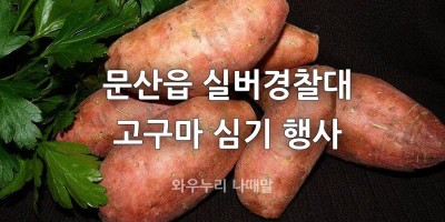 문산읍 실버경찰대 이웃돕기 고구마 심기 행사