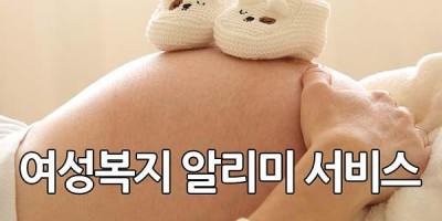 은평구 여성복지 알리미 서비스